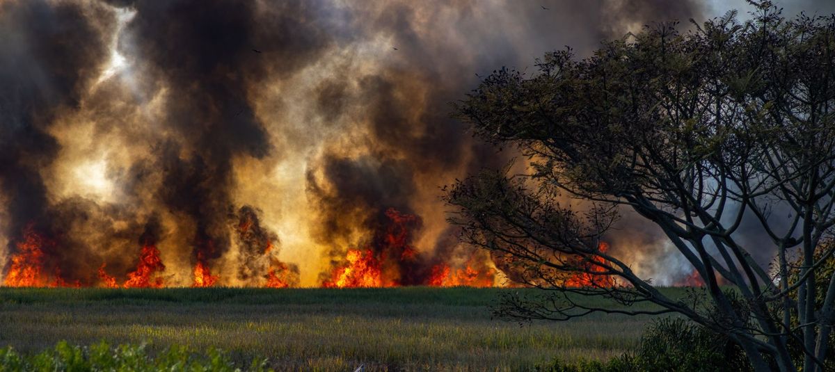 Puno: Incendios forestales dejan dos muertos y más de una veintena de heridos