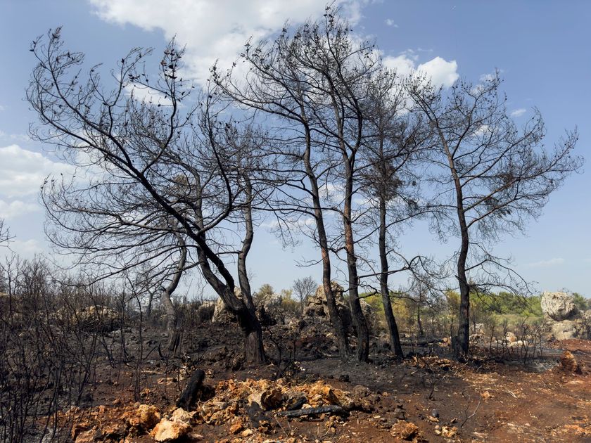 Incendio forestal en Uros Chulluni amenaza totorales del lago Titicaca en Puno