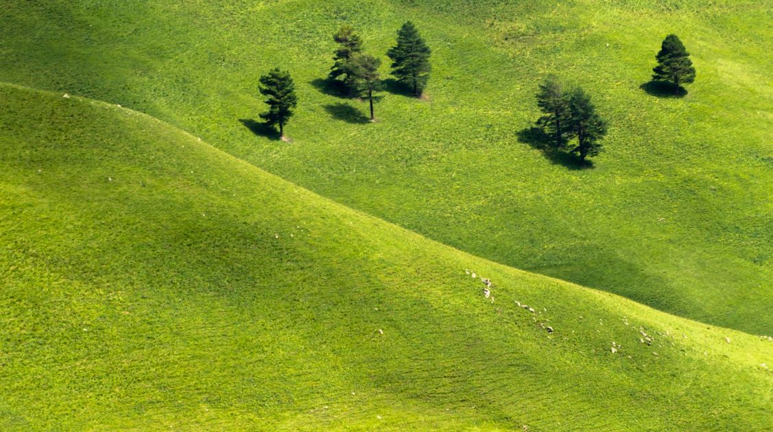 Turismo en Camaná: Las lomas verdes atraen visitantes a través de redes sociales