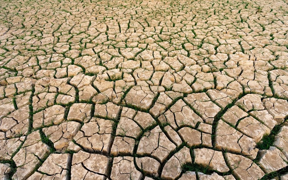 Alerta por El Niño 2027: Especialistas advierten sobre riesgo hídrico y agrícola en Arequipa