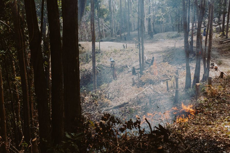 Comunero sufre quemaduras graves al intentar apagar incendio forestal en Puno