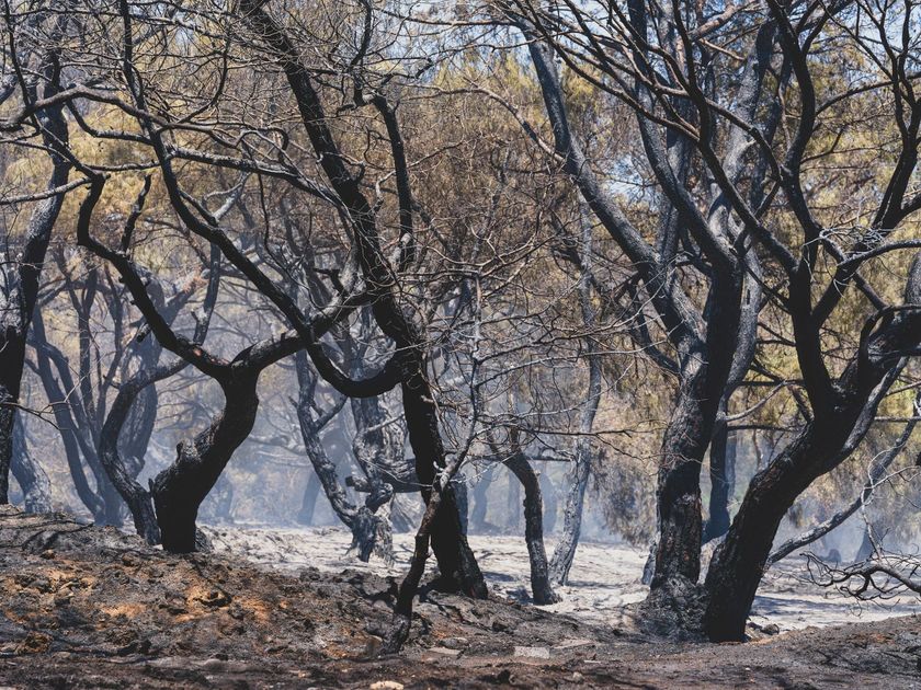 Incendios forestales activos en Ayacucho, Moquegua y Puno arrasan cobertura natural
