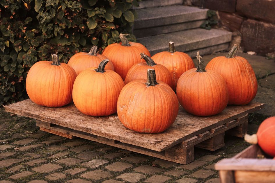 Wecco Feria celebra Halloween en Arequipa con música local y diseño regional