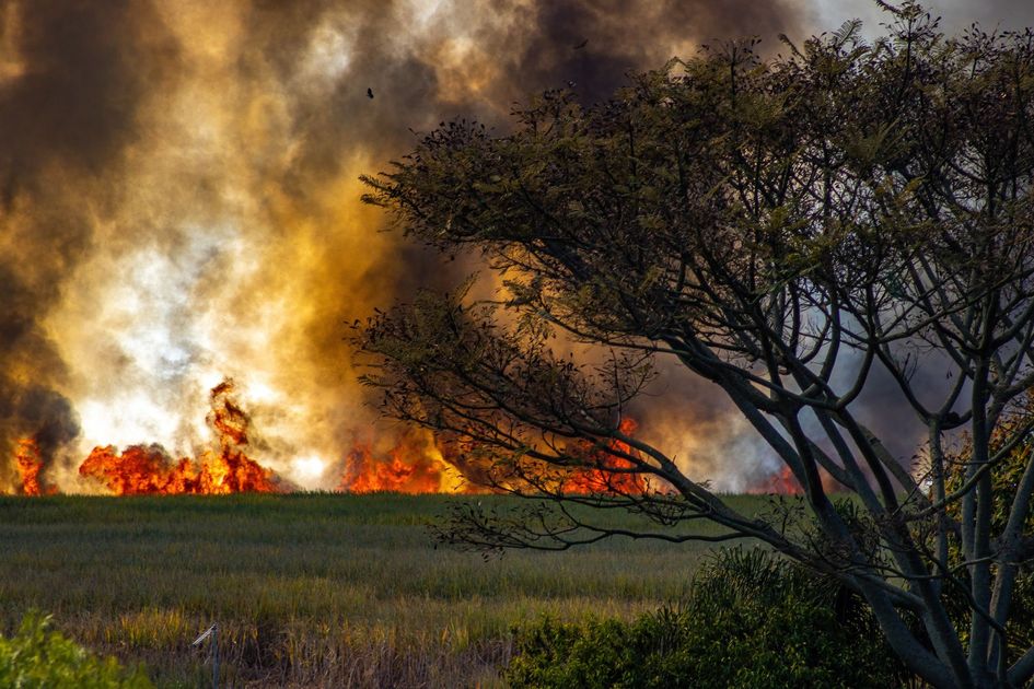 Incendios forestales: 16 regiones del Perú arden con más de 60 siniestros activos